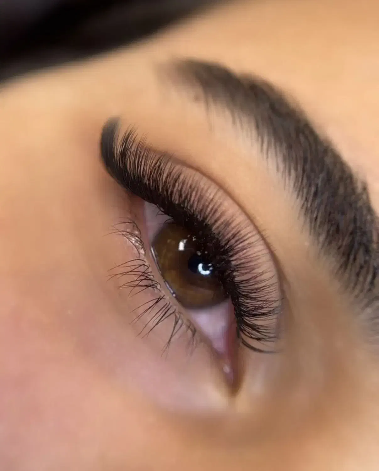 تخفیف ۱۵درصدی شب یلدا اکستنشن مژه و لیفت|خدمات آرایشگری و زیبایی|تربتحیدریه, کاشانی|دیوار