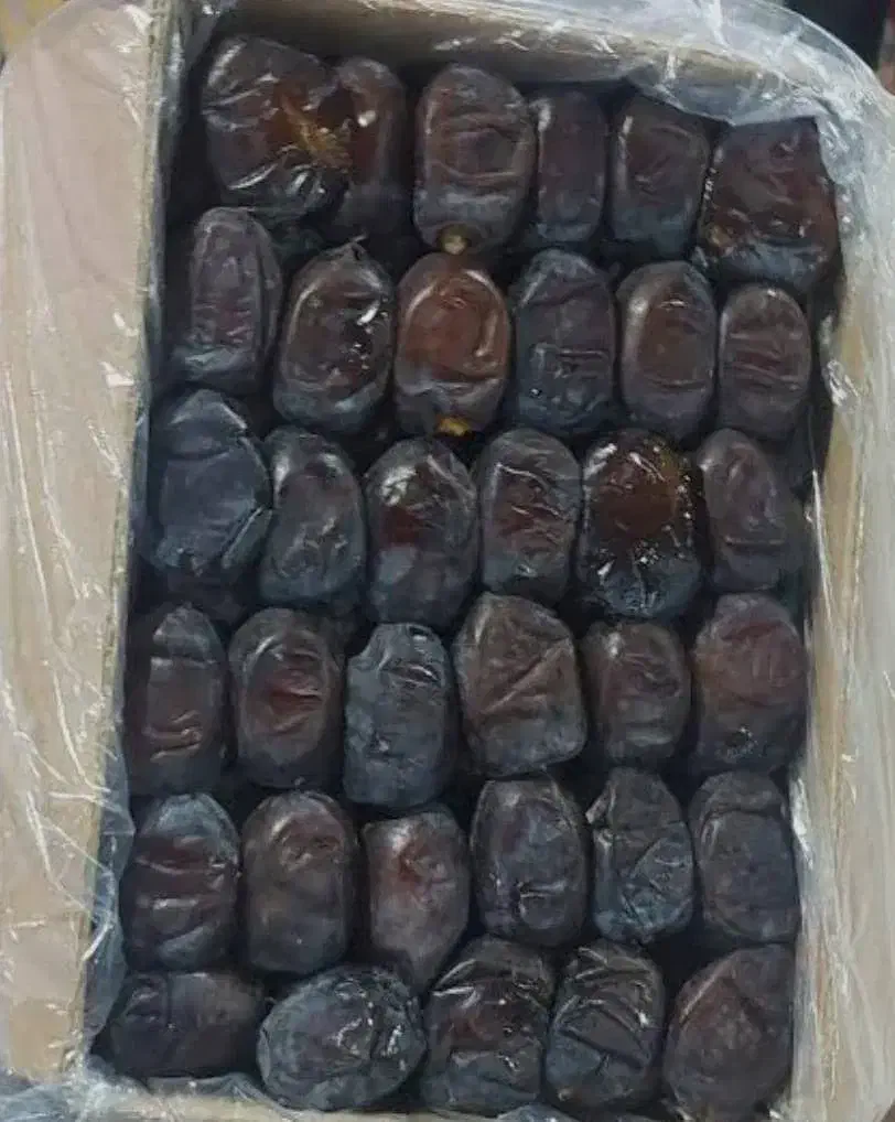 خرما|حراج|قوچان, |دیوار