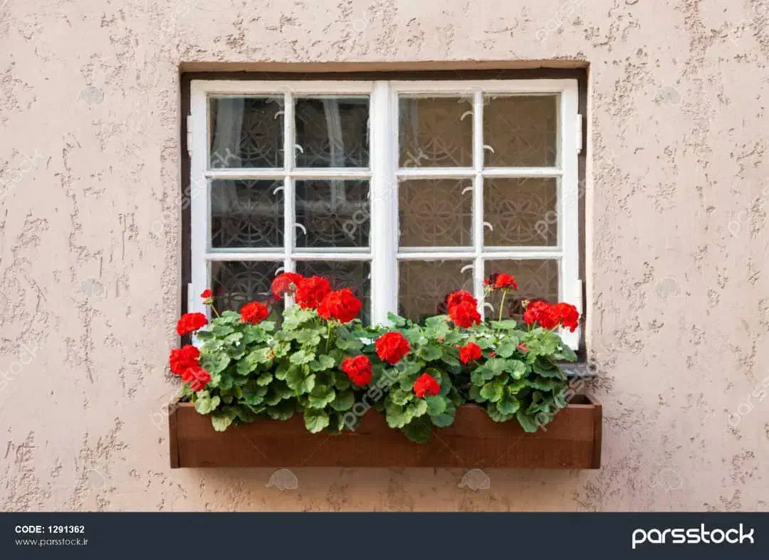 خدمات باغبانی و تمامی امور  باغ و باغ شهری و ..|خدمات باغبانی و درختکاری|شیراز, فرهنگ شهر|دیوار