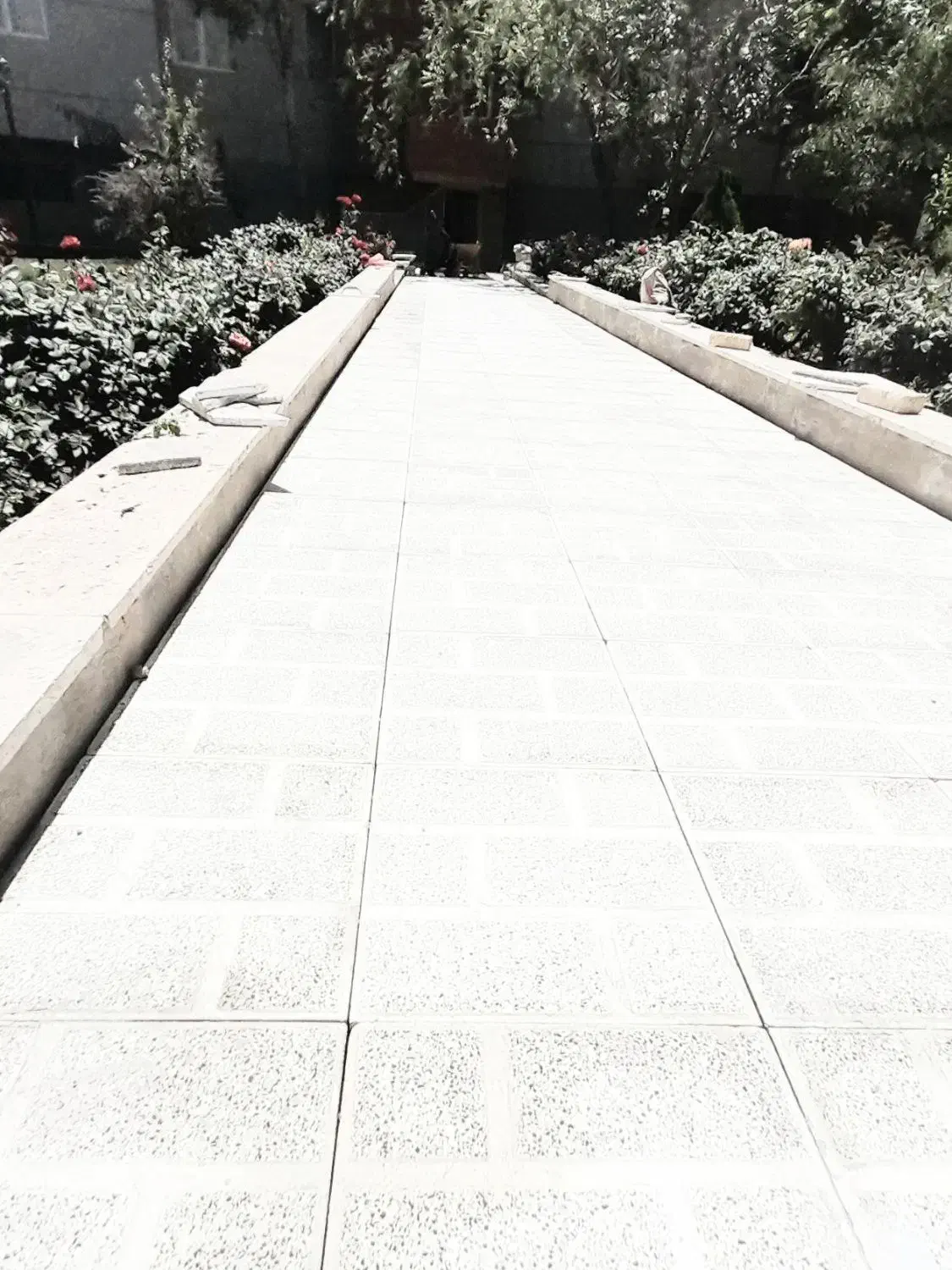 دیوار جینی وگچ کاری|خدمات پیشه و مهارت|پردیس, فاز ۲|دیوار