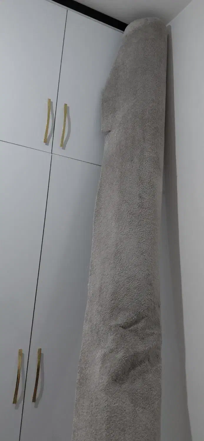 طلاب عطاحسینی|موکت|مشهد, گلشور|دیوار