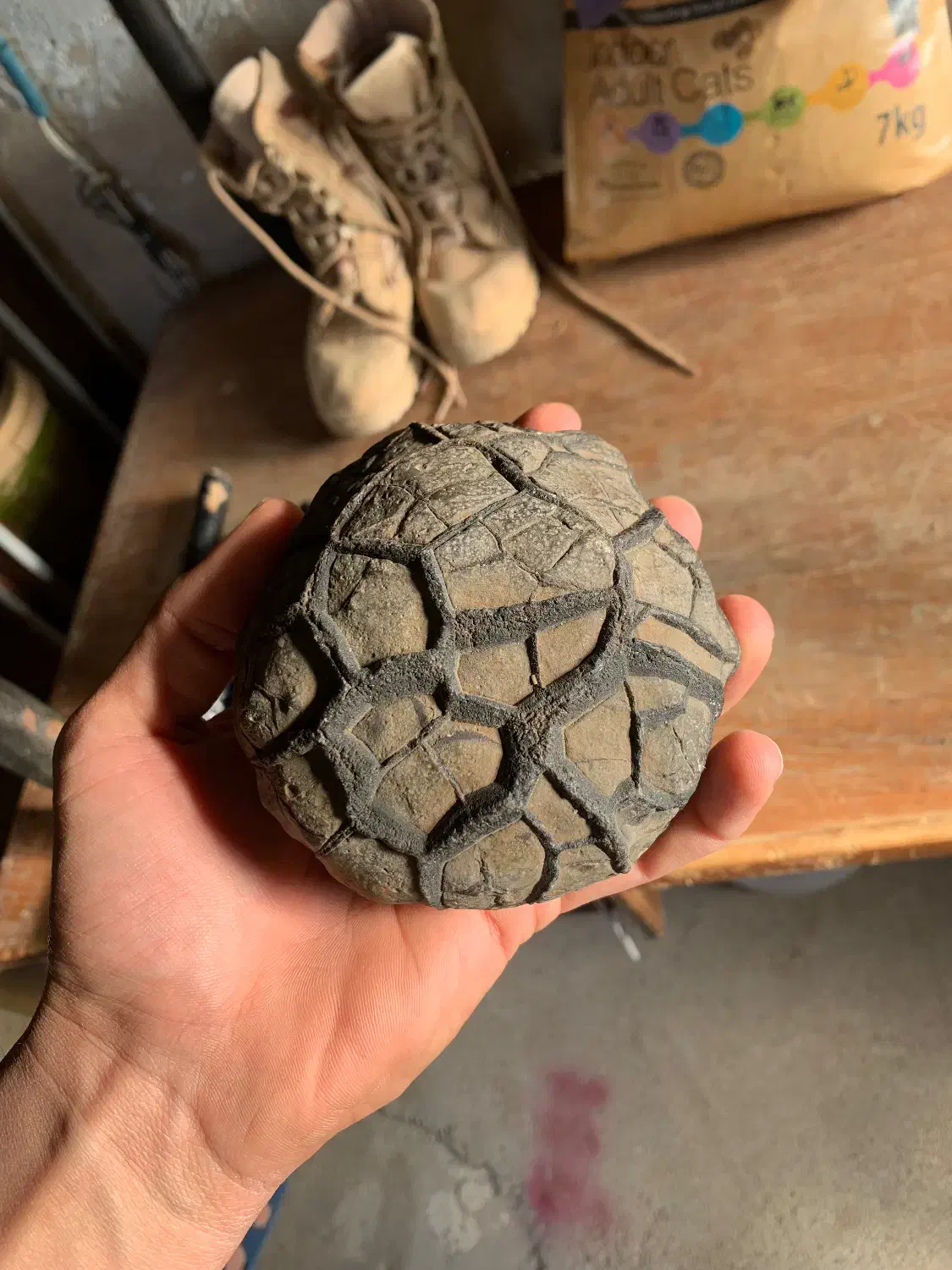 سنگ سپتارین|کلکسیون اشیاء عتیقه|بجنورد, |دیوار