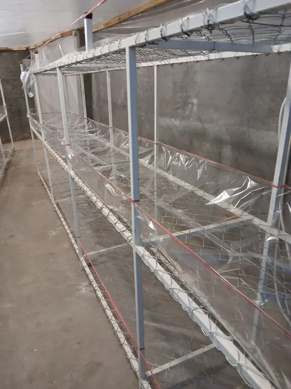 قفسههای فلزی سهطبقه با توری گالوانیزه|فروشگاه و مغازه|بناب, |دیوار