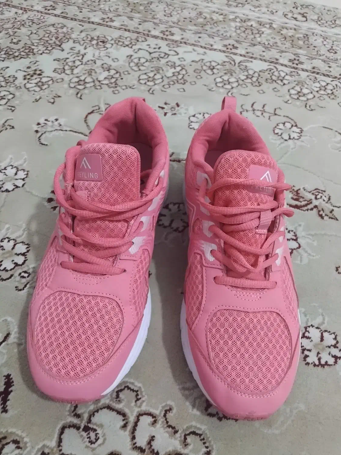 کتونی|کیف، کفش، کمربند|کرج, عظیمیه|دیوار