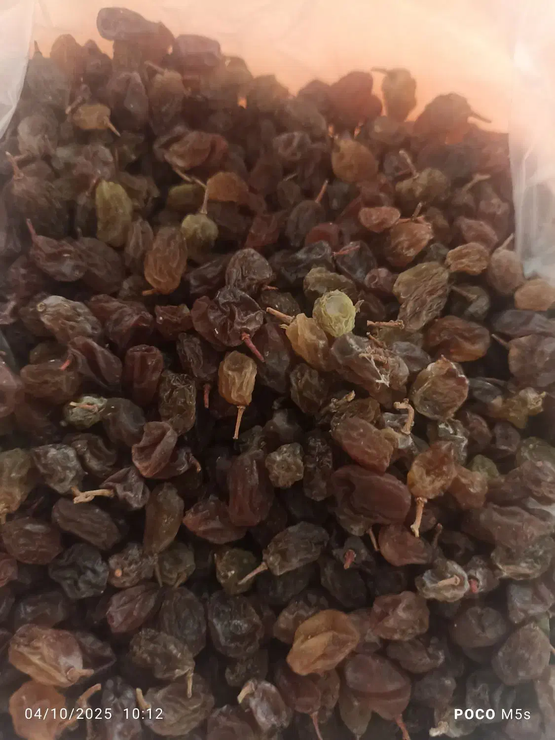 کشمش گوشتی|خوردنی و آشامیدنی|قزوین, |دیوار