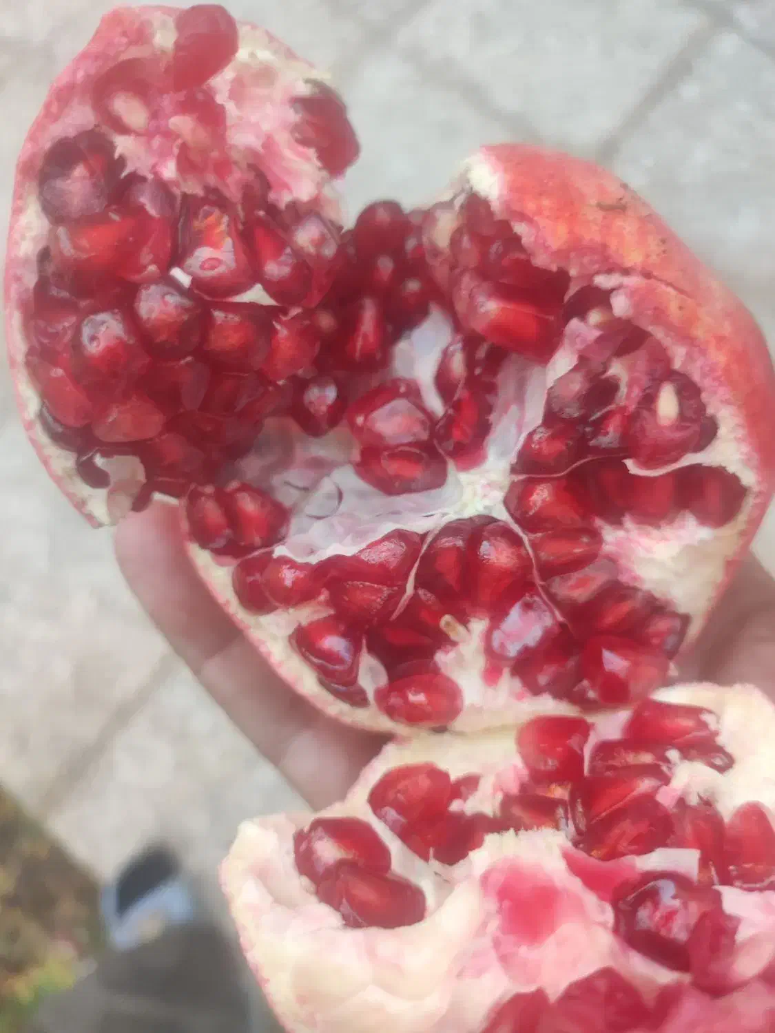 انار اصل عقدا دانه سیاه|خوردنی و آشامیدنی|عقدا, |دیوار