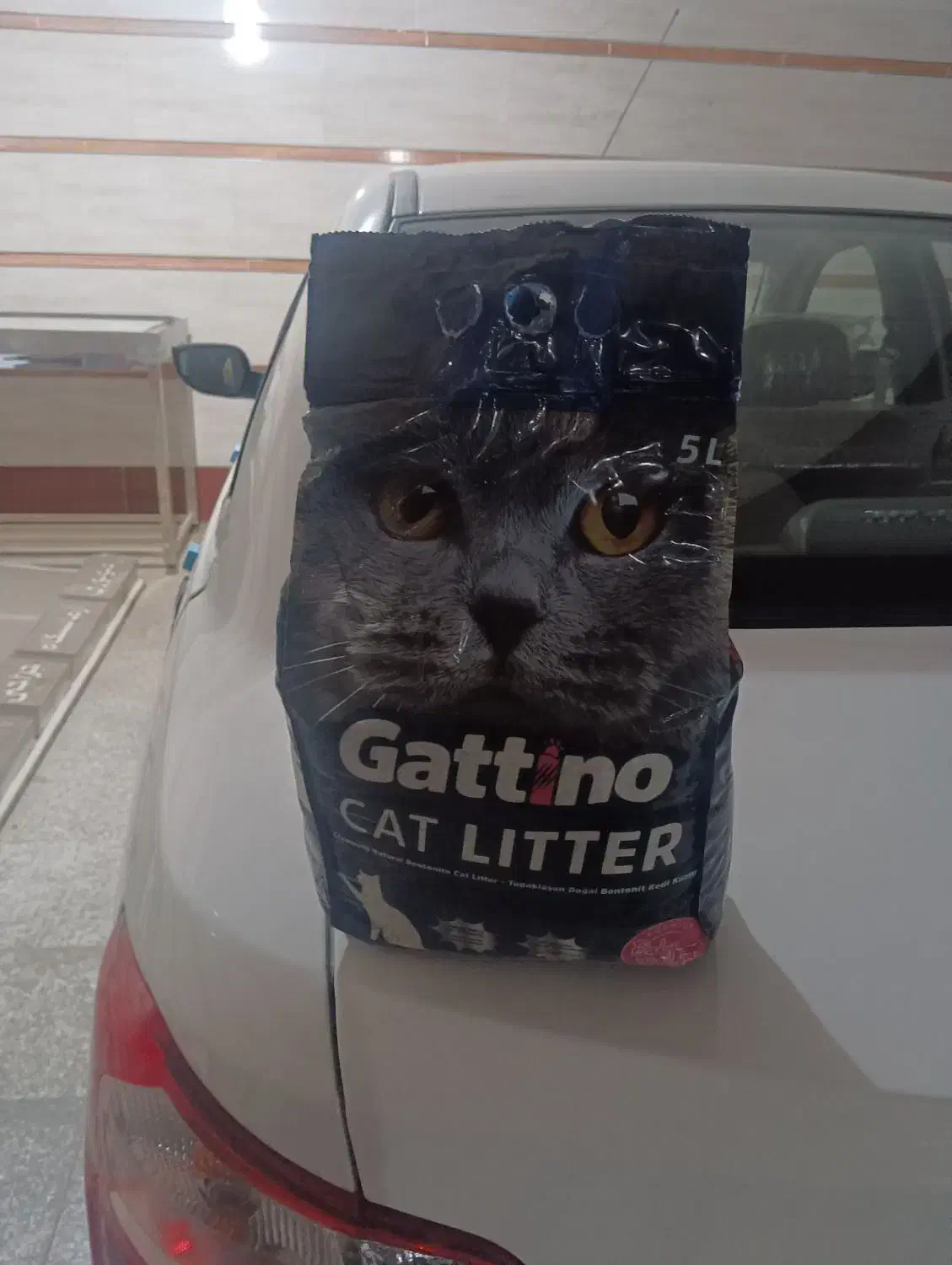 خاک پزشکی مخصوص گربه|لوازم جانبی حیوانات|اهواز, کیانشهر|دیوار