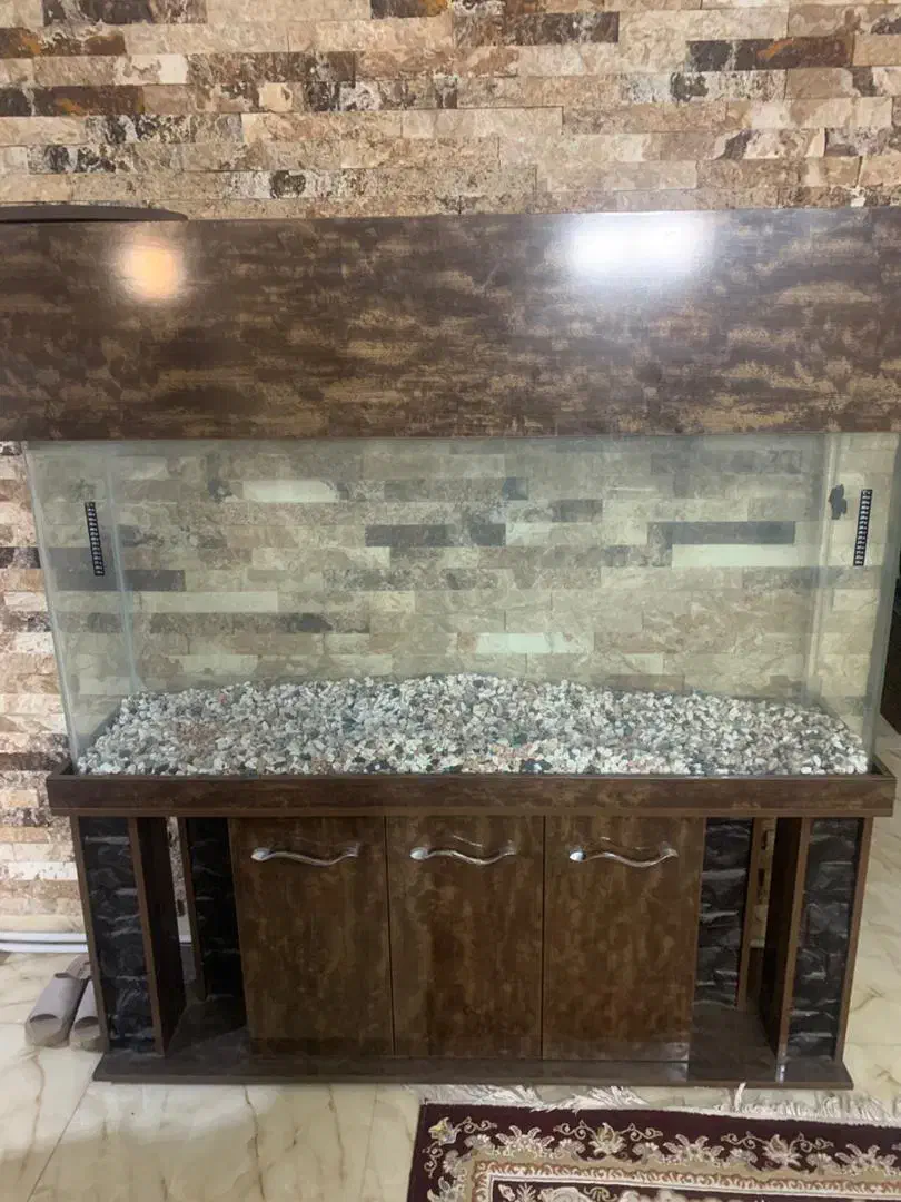 اکواریوم بزرگ 1/5 متری با شیشه ده میل|ماهی|پردیس, فاز ۲|دیوار