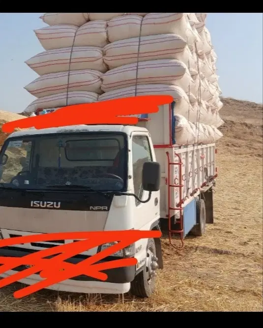 کاه|لوازم جانبی حیوانات|کوهدشت, |دیوار