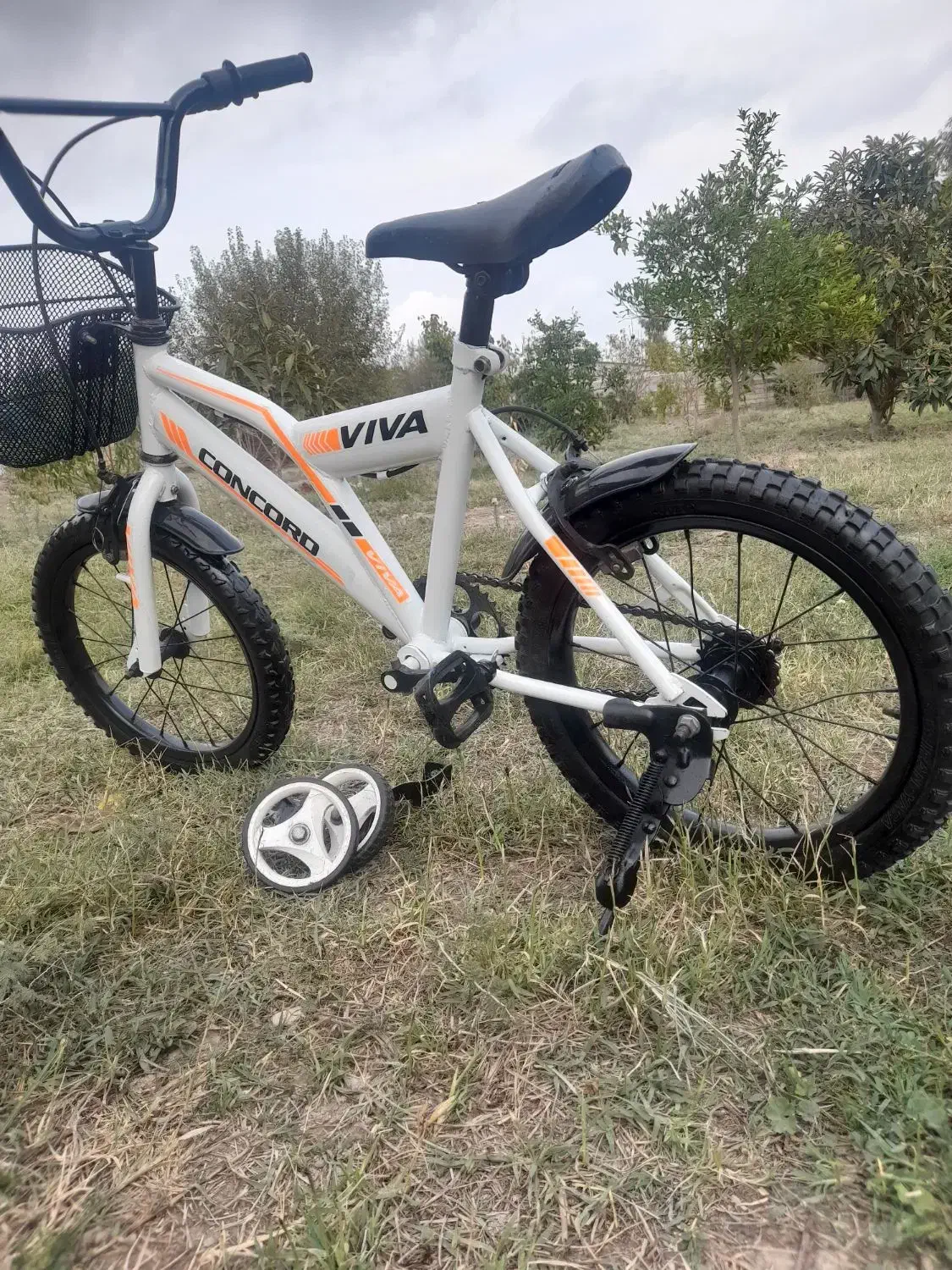 دوچرخه سایز۱۶|دوچرخه، اسکیت، اسکوتر|گنبد کاووس, |دیوار