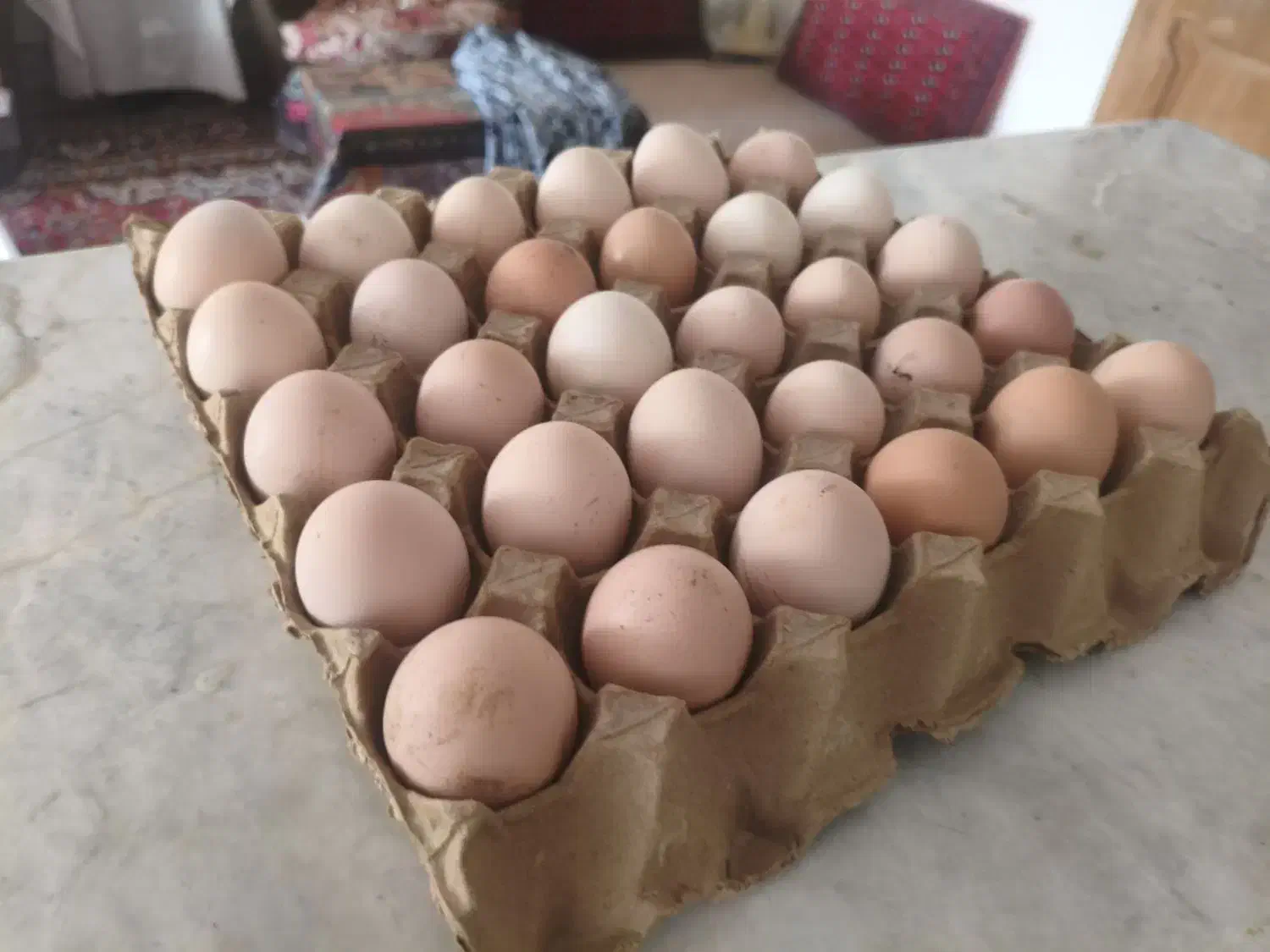 تخم مرغ محلی|خوردنی و آشامیدنی|نیشابور, گمنام غربی|دیوار