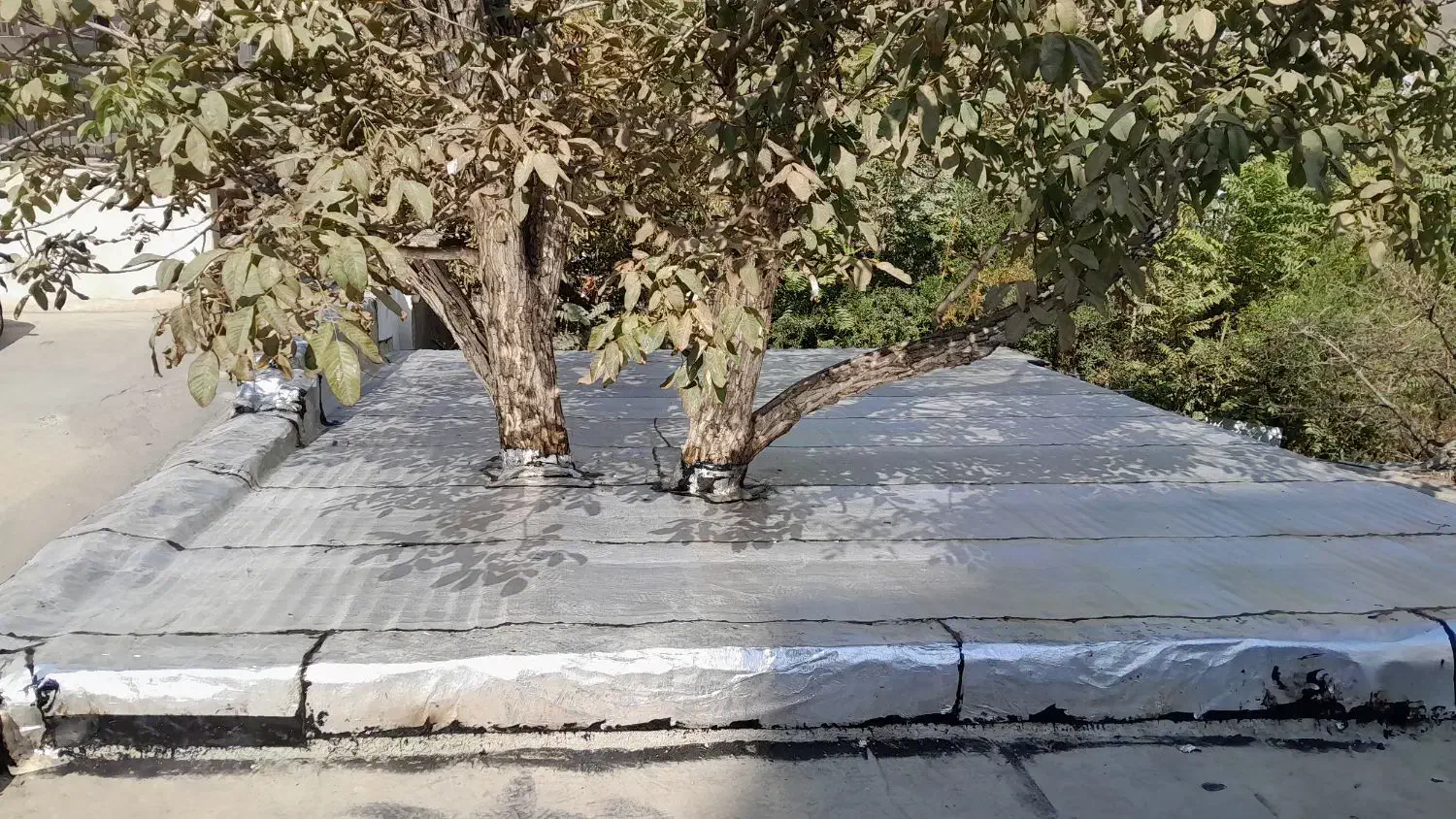 نصب ایزوگام درجه یک دلیجان با ضمانت درتهران وحومه|خدمات پیشه و مهارت|تهران, بازار|دیوار