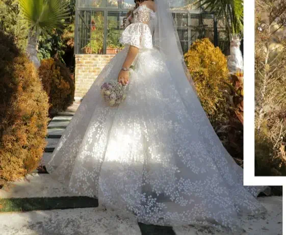 لباس عروس|لباس|ری, علایین|دیوار