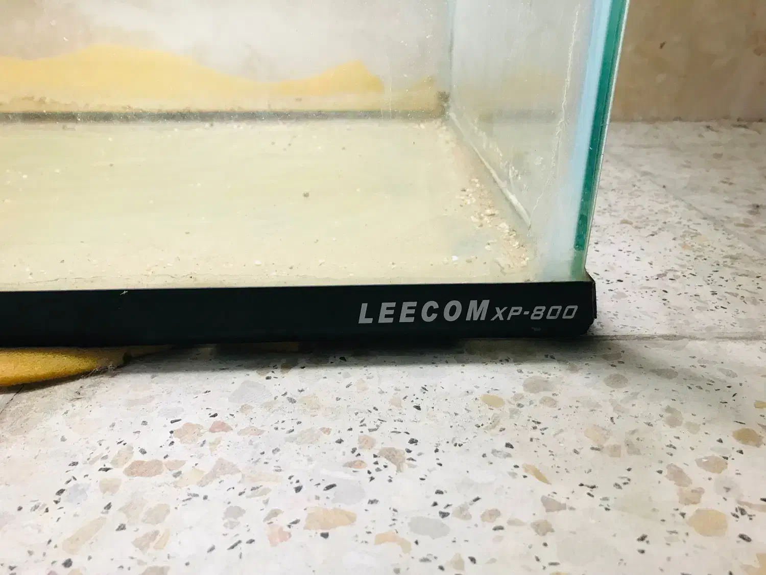 آکواریوم|ماهی|پردیس, فاز ۳|دیوار