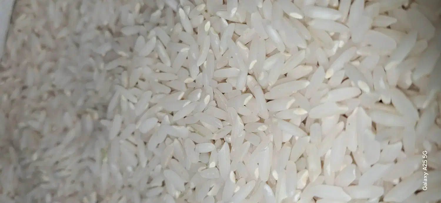 برنج میانه اعلا*خالص*|خوردنی و آشامیدنی|تبریز, |دیوار