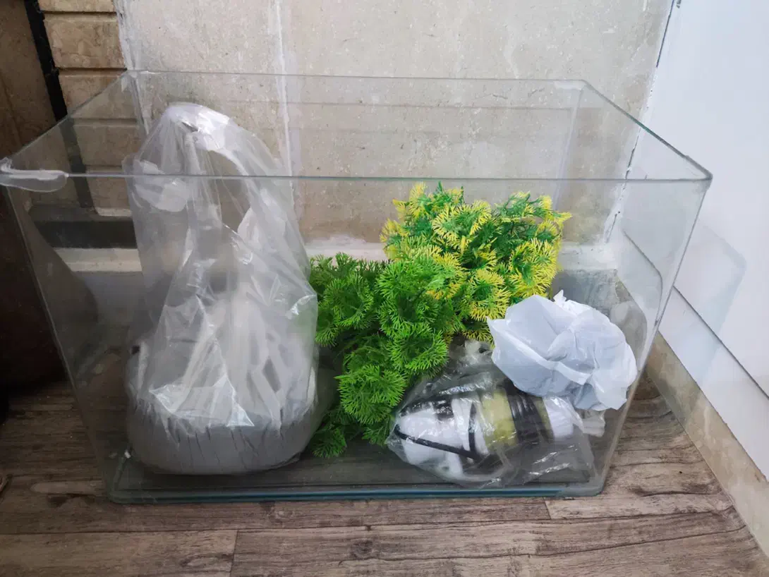 اکواریوم|ماهی|شیراز, زرگری|دیوار