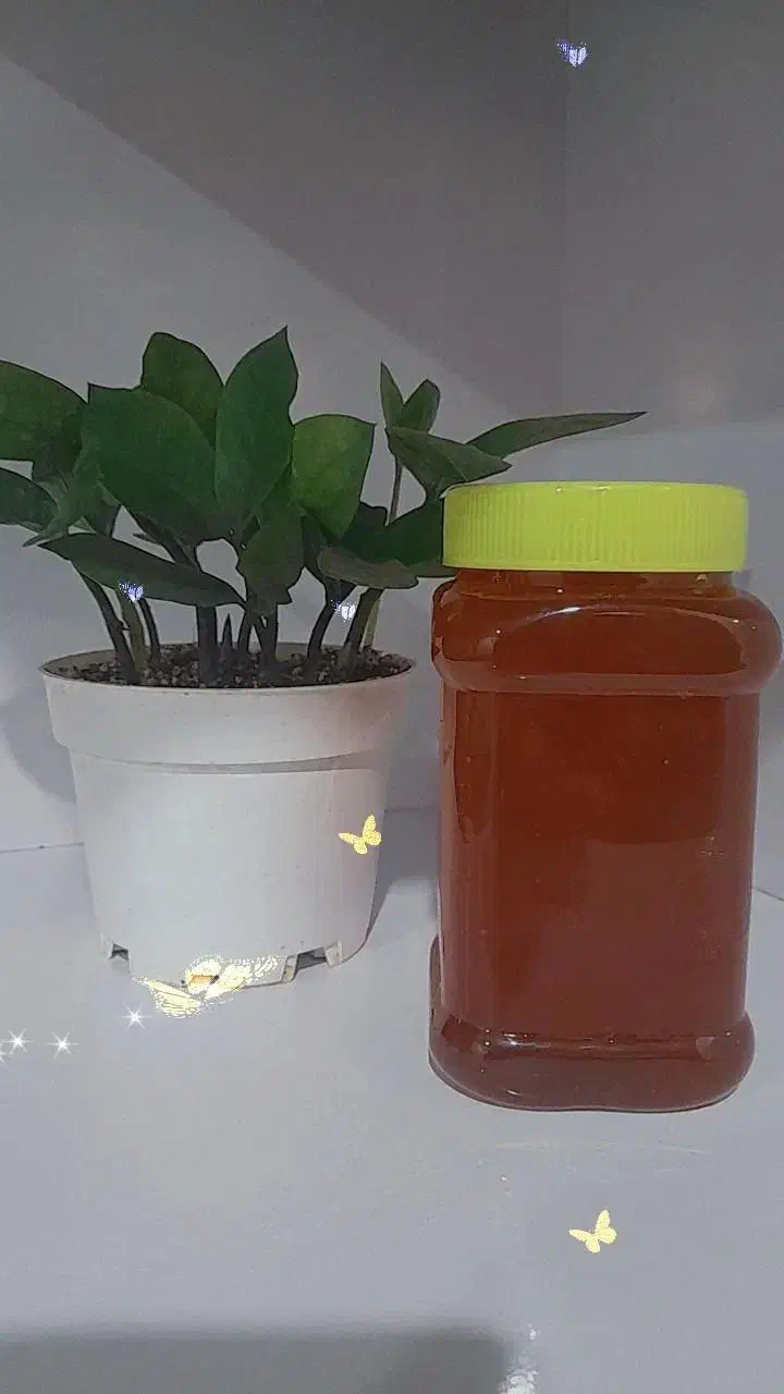 عسل|خوردنی و آشامیدنی|جیرفت, |دیوار