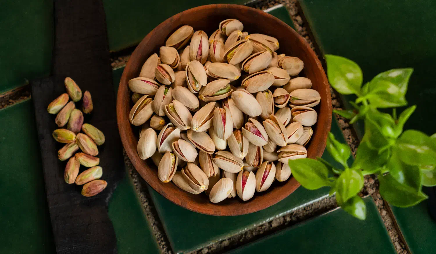 استخدام نیروی خانم فراوری پسته|استخدام خدمات فروشگاه و رستوران|رفسنجان, |دیوار