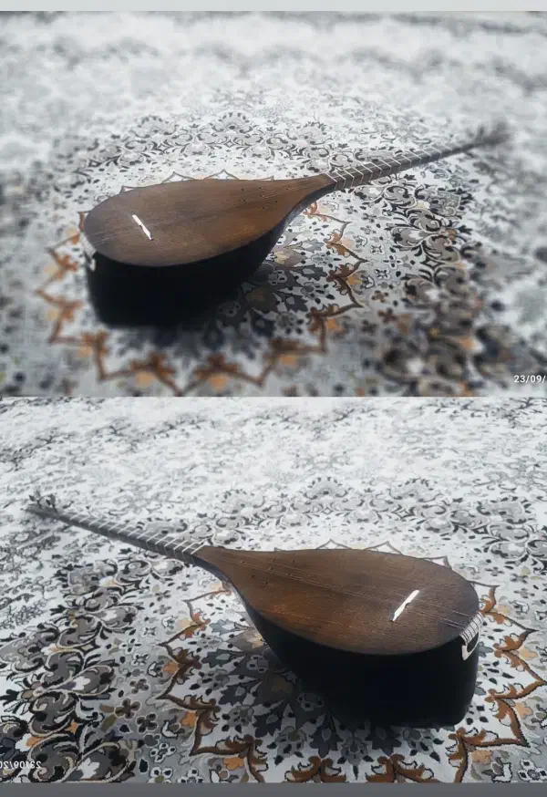 تنبور کاسه یک تکه الگو ۴۰|سازهای سنتی|اصفهان, نقش جهان|دیوار