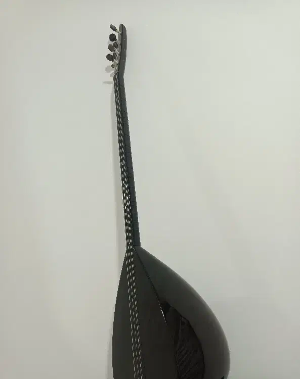 ساز دیوان حرفه‌ای|سازهای سنتی|سنندج, |دیوار