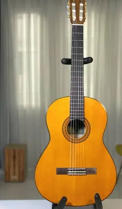 گیتار|گیتار، بیس، امپلیفایر|بوشهر, |دیوار