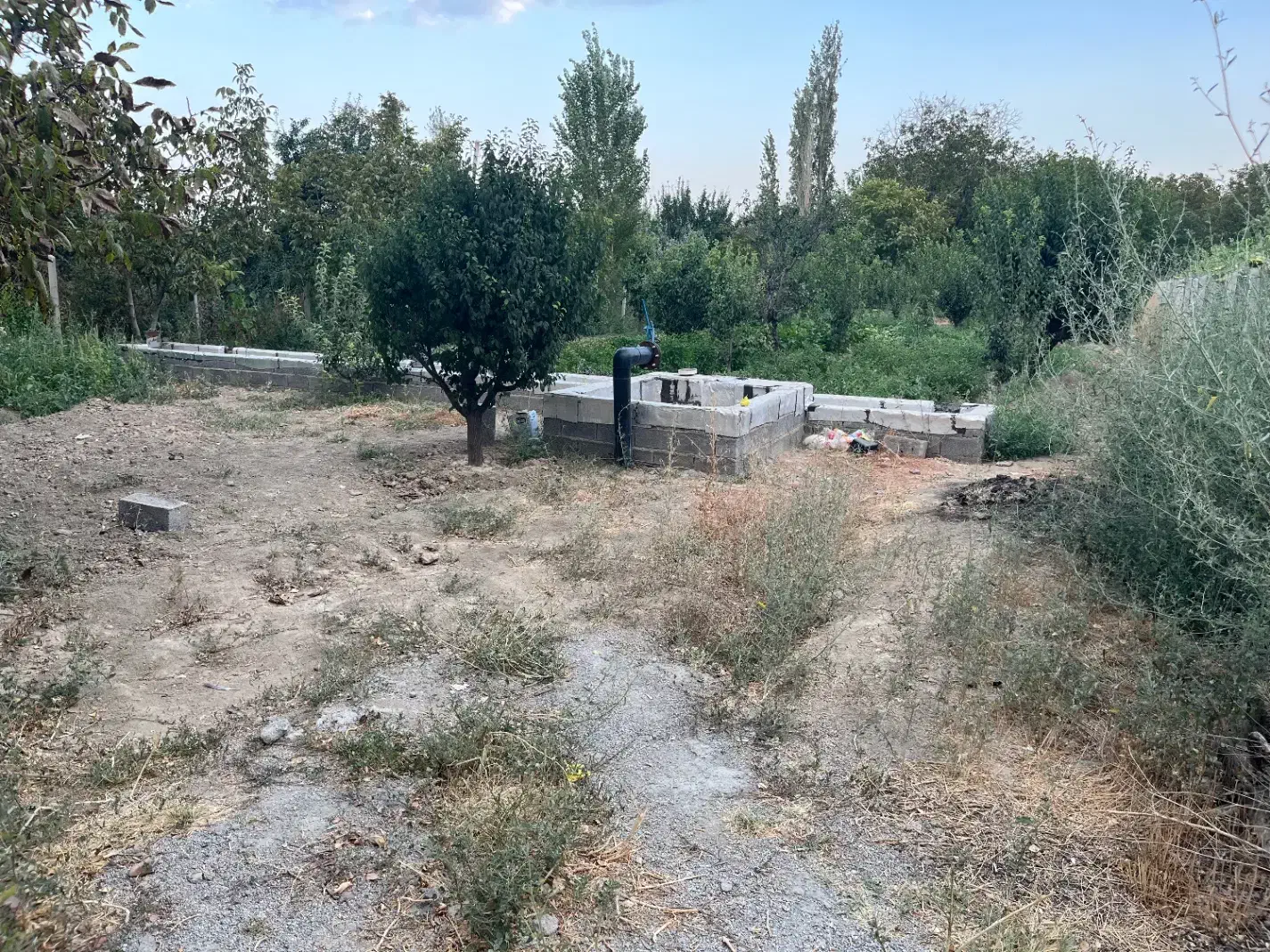 باغ ۱۵۰۰ متر در روستای چناقلو|فروش زمین و ملک کلنگی|نوشین شهر, |دیوار