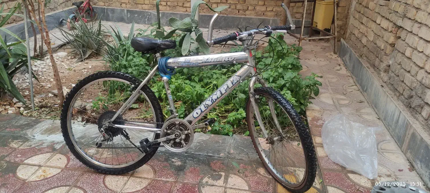 دوچرخه 28 المپیا سالم|دوچرخه، اسکیت، اسکوتر|شیراز, رکنآباد|دیوار
