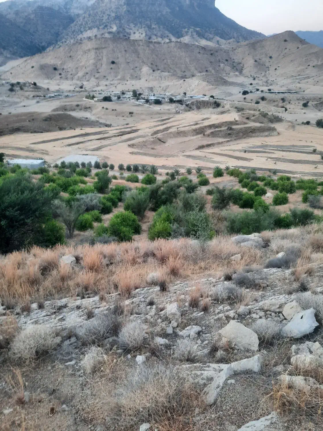 فروش زمین کشاورزی ابی|فروش دفتر صنعتی، کشاورزی، تجاری|سوق, |دیوار