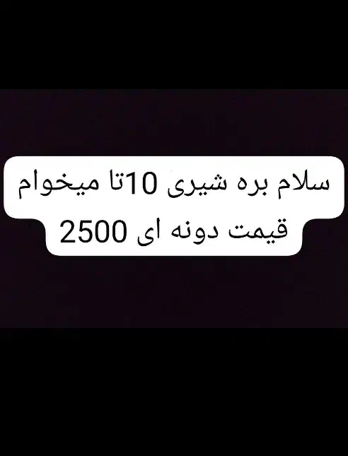 10تا بره شیری گمشدن|حیوانات مزرعه|گوهرکوه, |دیوار