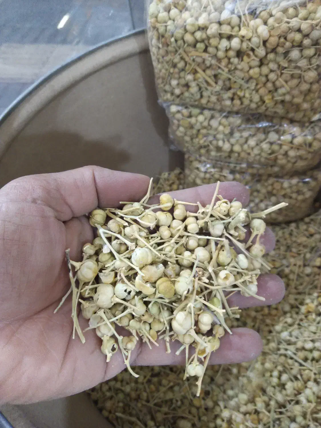 گیاهی و بهداشتی|آرایشی، بهداشتی، درمانی|یزد, |دیوار