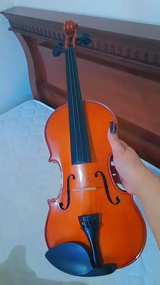 ویولن رناتو 220 همراه لوازم جانبی|ویولن|همدان, |دیوار