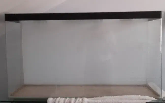 آکواریوم|ماهی|کرمان, |دیوار