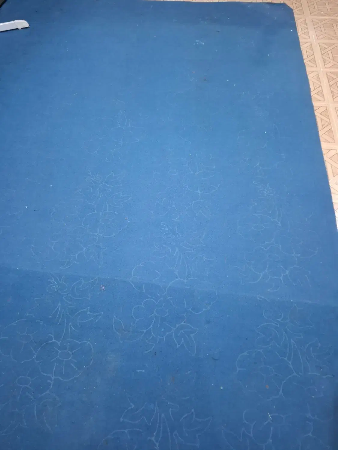 موکت|موکت|آبادان, |دیوار