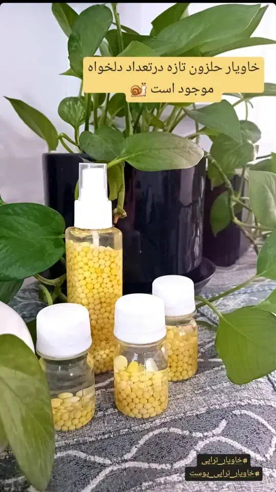 تخفیف ویژه خاویار مخصوص شب یلدا پک1000تایی 300|خزنده|شیراز, شهرک مهدی‌آباد|دیوار