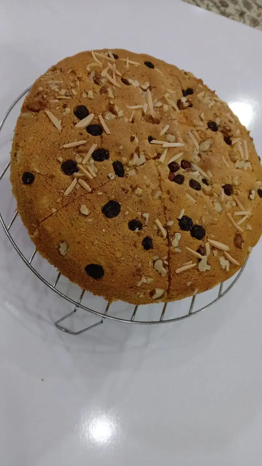 سفارش کیک خانگی|خوردنی و آشامیدنی|تربتحیدریه, جانبازان|دیوار