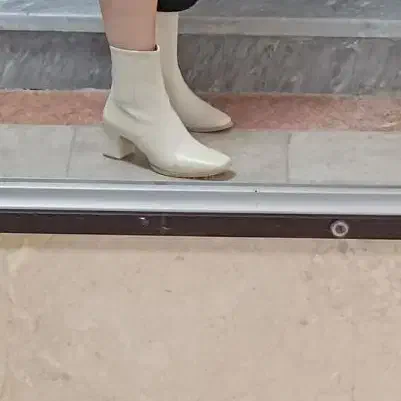 کفش|کیف، کفش، کمربند|شهرکرد, |دیوار