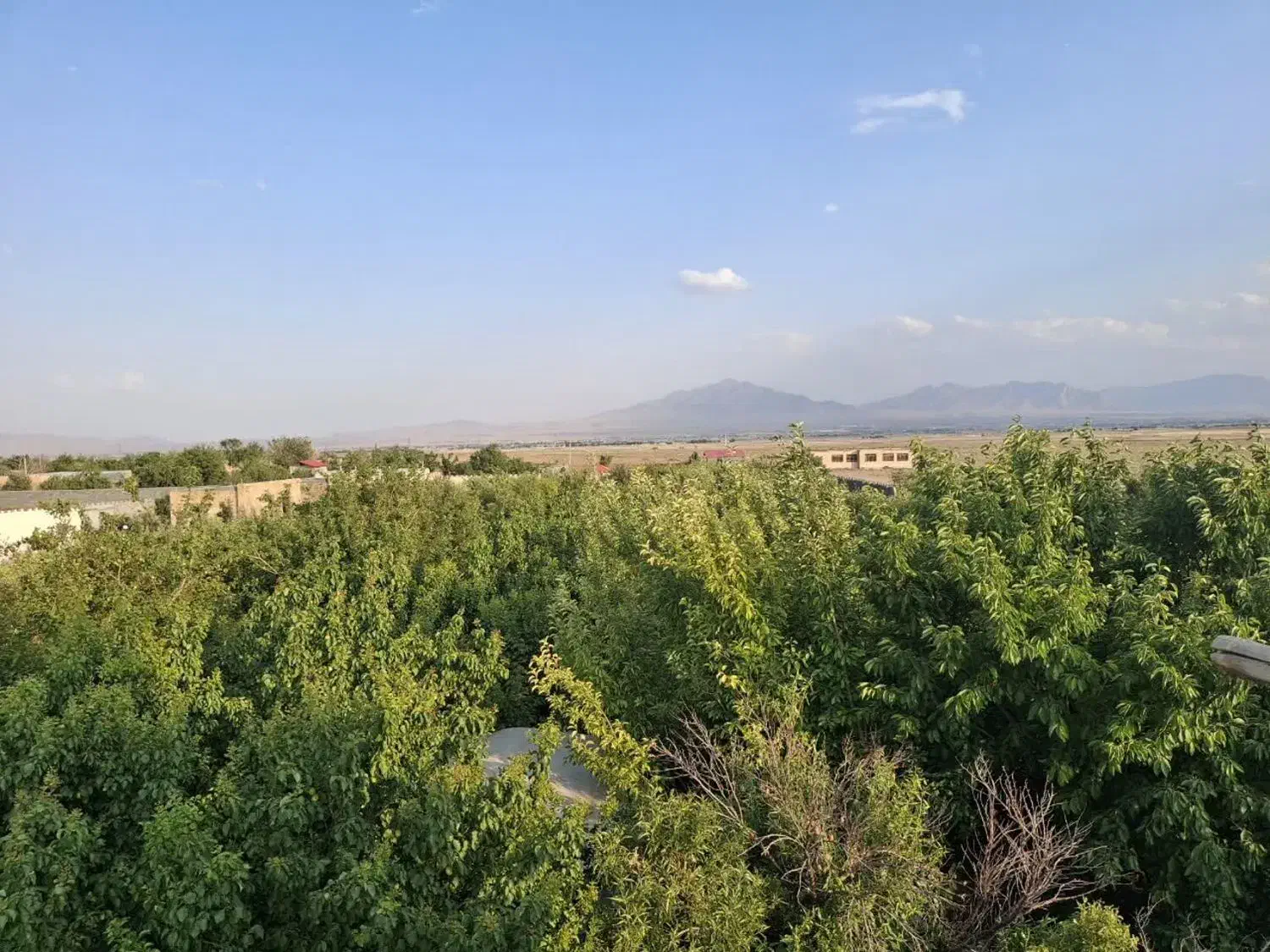 باغ و استخر و سوییت|اجارهٔ کوتاه‌مدت ویلا و باغ|خمین, |دیوار