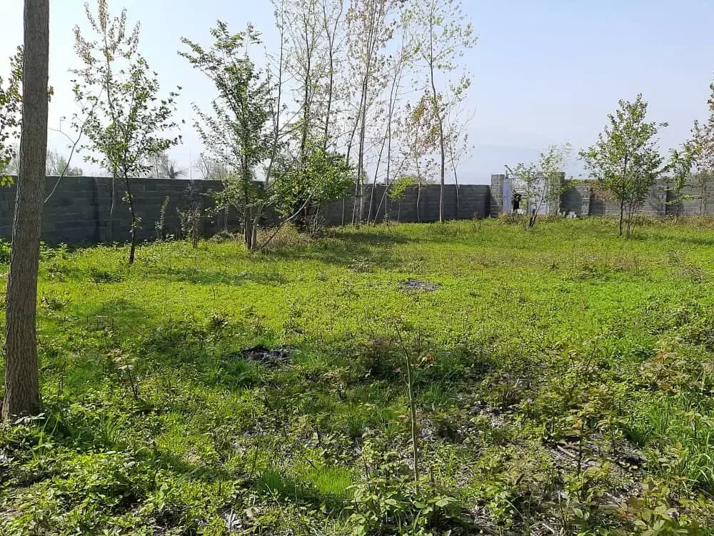 زمین مسکونی در شمال کشور یا تهاتر با ملک یا خودرو|فروش زمین و ملک کلنگی|کلاچای, |دیوار