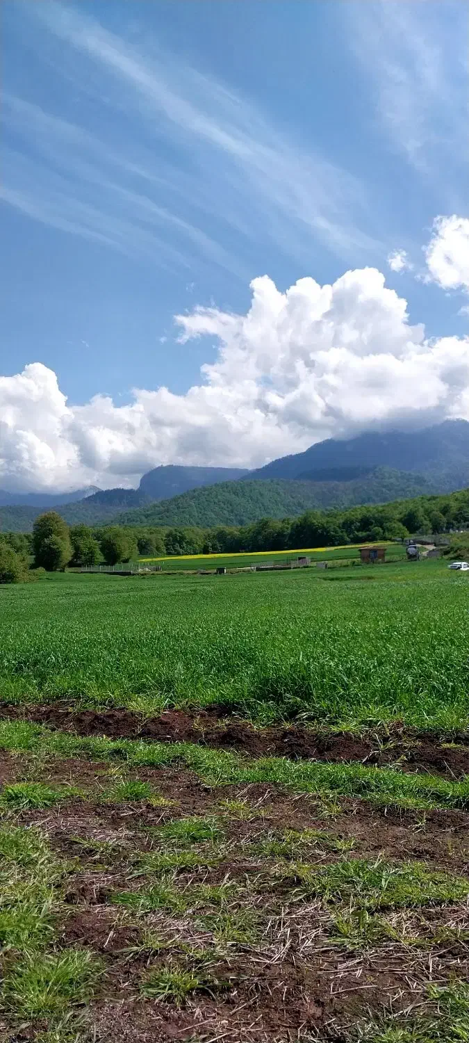 باغ آماده ۵۷۴ متر شموشک بالا(قیمت مناسب)|فروش زمین و ملک کلنگی|گرگان, |دیوار