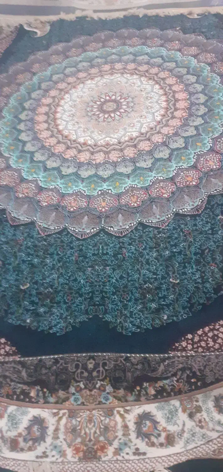 فرش ۶ و ۹ متری ۱۰۰۰شانه|فرش|همدان, |دیوار