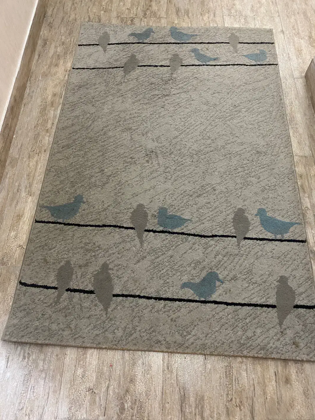 فرش ۱ میلیون تومن|فرش|رشت, سعدی (تختی)|دیوار