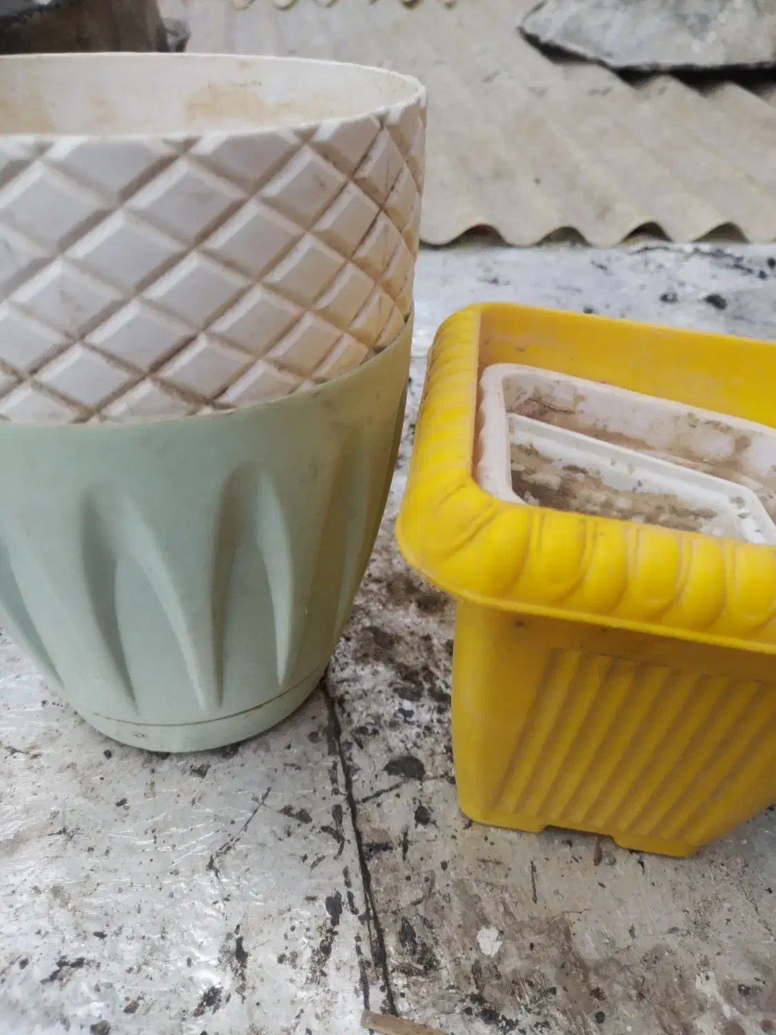 گلدان سالم.|گل و گیاه طبیعی|باسمنج, |دیوار