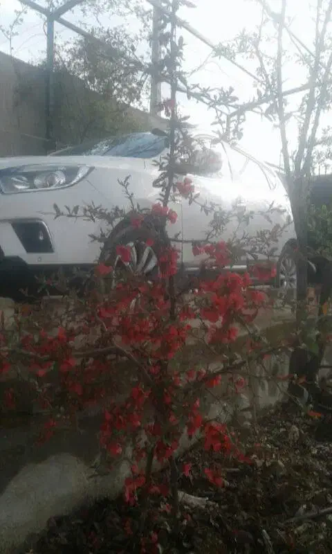 انجام هر کاری ب صورت پیمانکاری، چکی، متری|خدمات پیشه و مهارت|یاسوج, |دیوار