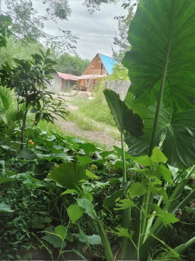 اجاره روزانه/هفتگی/ماهانه ویلا سوییسی استخردار|اجارهٔ کوتاهمدت ویلا و باغ|رشت, استادسرا|دیوار