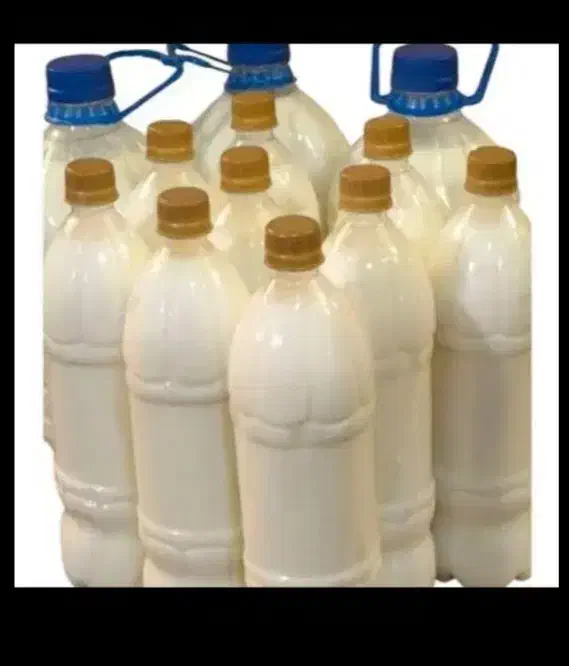 پخش دوغ محلی|خوردنی و آشامیدنی|بردسیر, |دیوار