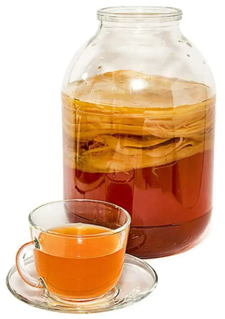 نوشیدنی و قارچ کامبوجا|خوردنی و آشامیدنی|تهران, شهرک آپادانا|دیوار