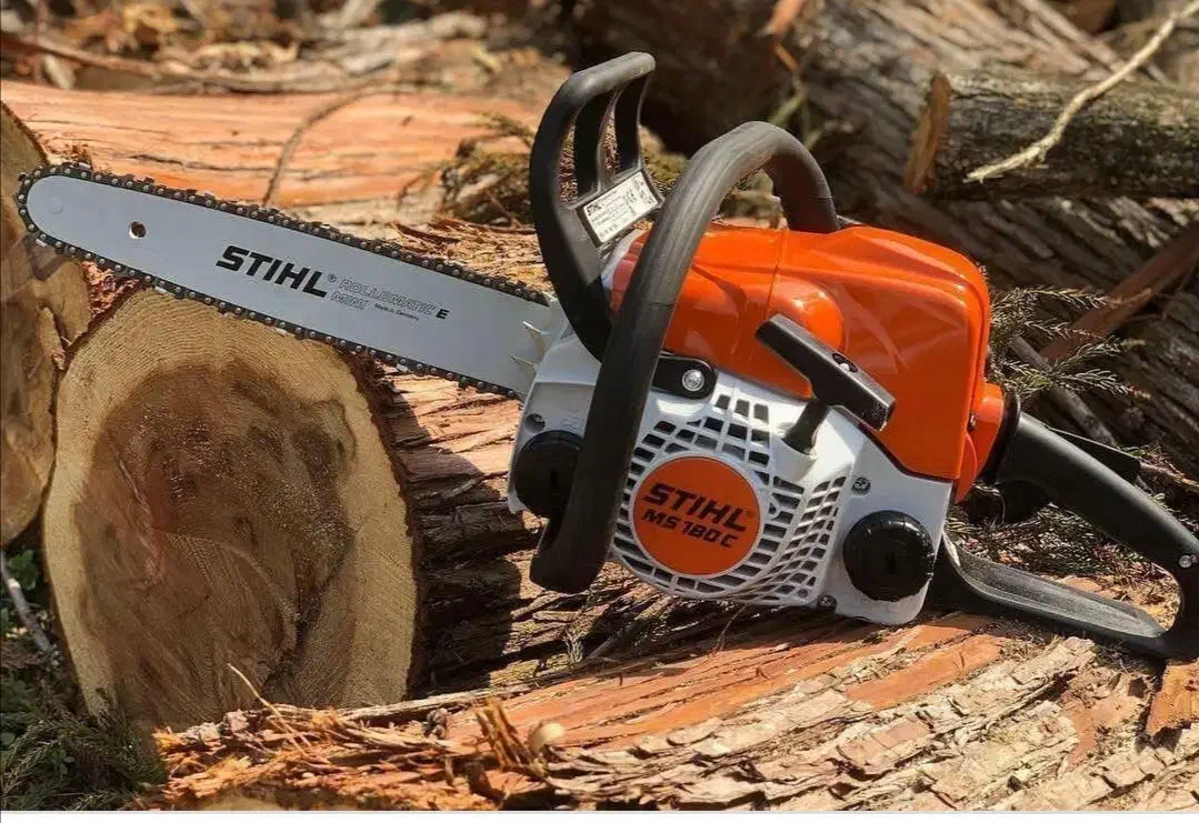 هرس برش درخت وخریدچوب باقیمت بالا|خدمات باغبانی و درختکاری|یزد, |دیوار