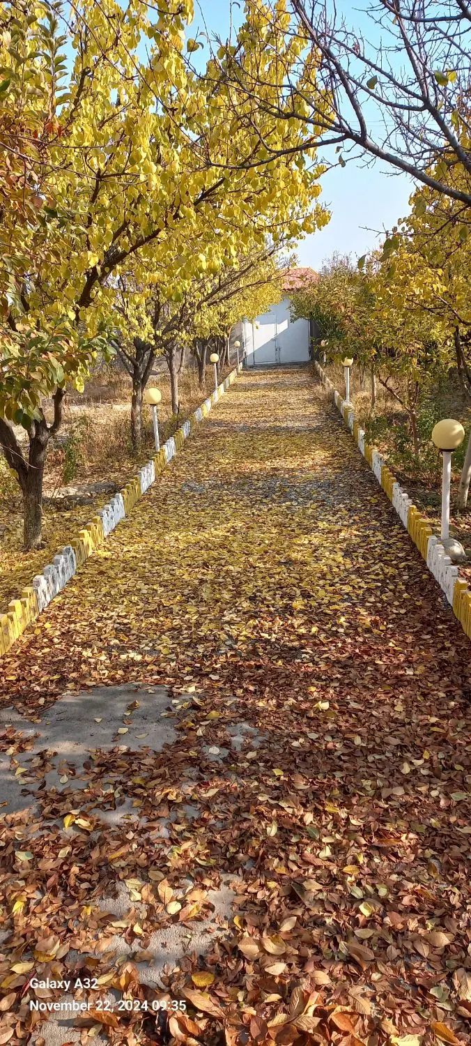 تصویر 4