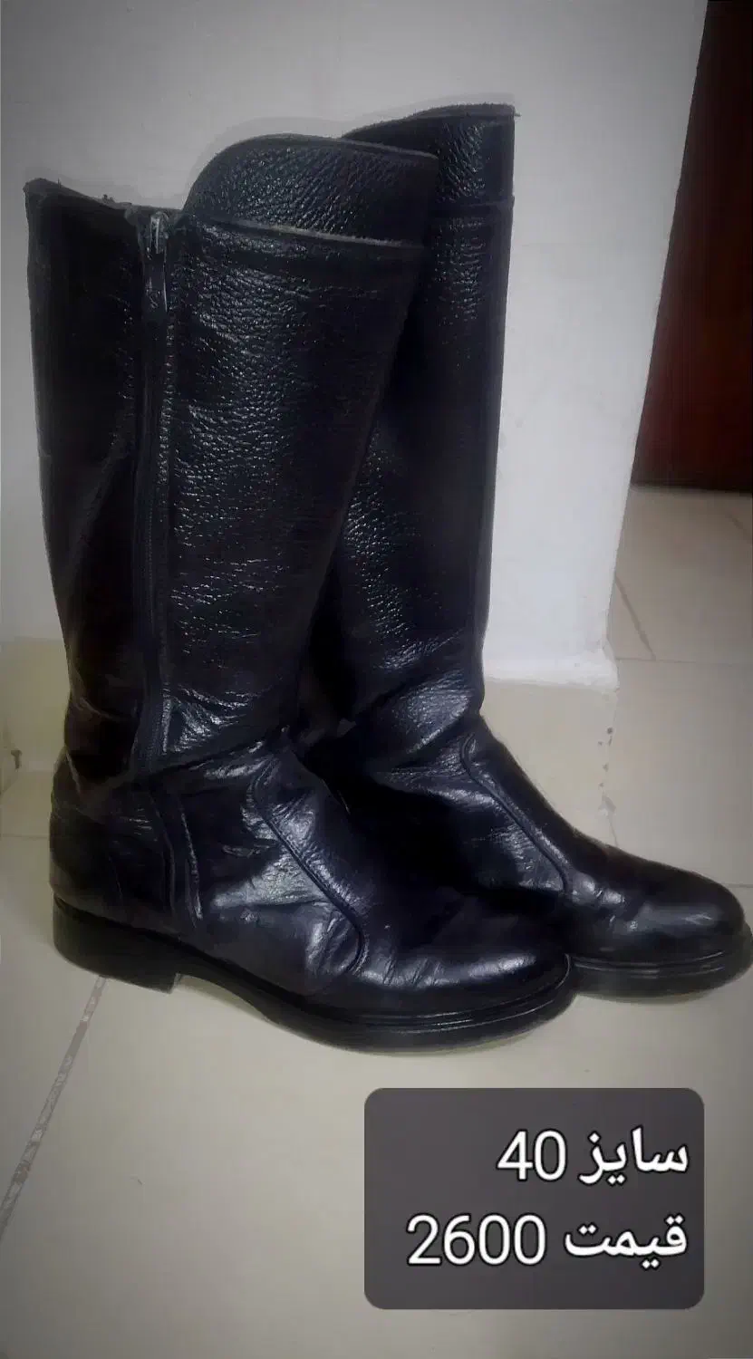 لوازم سوارکاری|اسب و تجهیزات اسب‌سواری|مشهد, شاهد (شهرک غرب)|دیوار