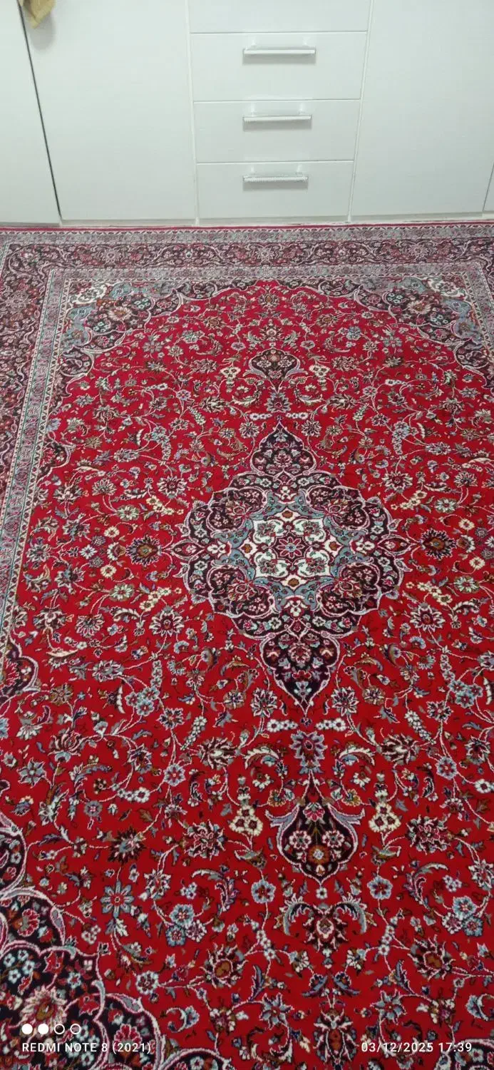 2 عدد فرش 6 متری|فرش|رشت, کوی غلام نیا|دیوار